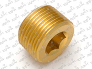 Brass Countersunk Hex Plug Pipe Thread