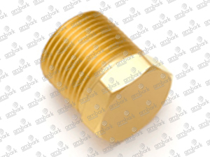 Brass Hex Head Plug, Pipe Thread