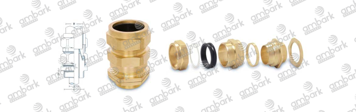 CW NPT Type Cable Glands