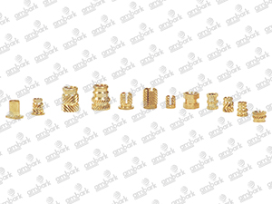 Maulding Insert
