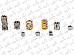 Maulding Insert